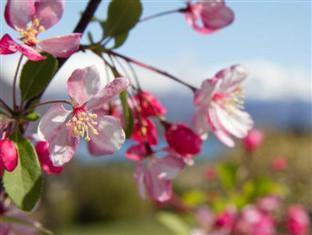 Tin Tub Luxury Lodge Wanaka Exterior foto
